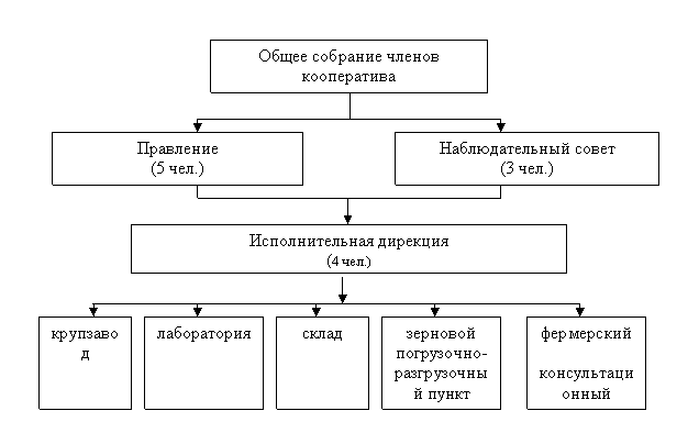 Организационная структура СПСК "Русь"